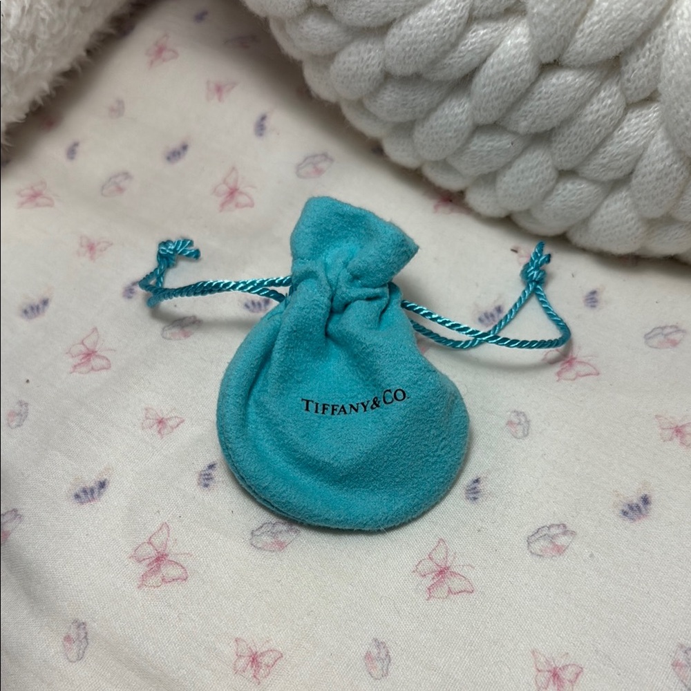 Tiffany & Co. Turquoise Jewelry Pouch